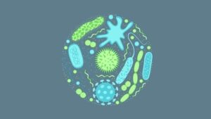 Antimicrobial Resistance A Looming Threat-removebg-preview