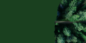 Designing Sustainability Assessment Tools
