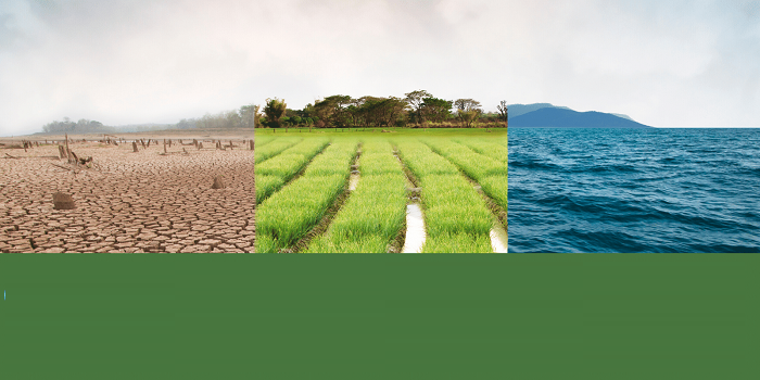 Urgent Action Needed for a Sustainable Future